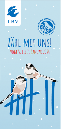 Faltblatt Stunde der Wintervögel 2024
