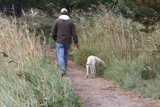 Mensch mit Hund beim Spazierengehen in Feld und Flug, der Hund ist angeleint | © Carola Bria