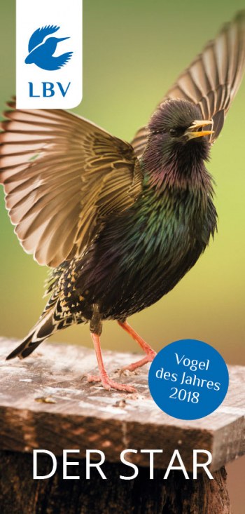 Cover Vogel des Jahres Faltblatt 2018