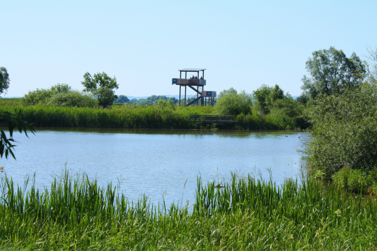 Blick auf den Aussichtsturm auf der Vogelinsel am Altmühlsee | © P. Bria