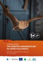 Layman's Report: The Greater Horseshoe Bat in upper palatinate