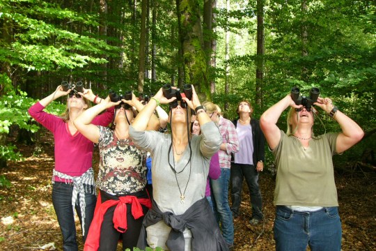 Menschen mit einem Fernglas stehen im Wald und schauen nach oben
