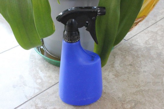 Blaue Sprühflasche mit einem schwarzen Sprühkopf aus Plastik. Steht auf einem gefließtem Boden vor einem Blumentopf | © LBV