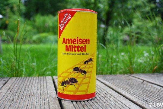 Ameisengift steht auf einer Terrasse