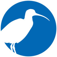 Icon Brachvogel