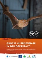 Projektreport: Große Hufeisennase in der Oberpfalz