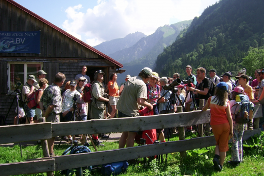 Nicht nur für Ornithologen ist die Sichtung eines Steinadlers ein besonderes Erlebnis | ©LBV Bildarchiv