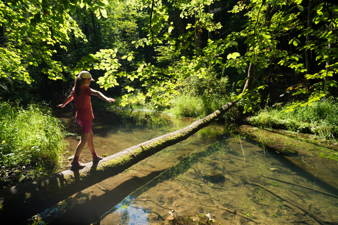 Ausflüge in Bayern mit Kindern in die Natur | © Dr. Olaf Broders