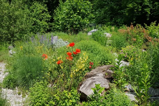 Vogelfreundlicher Garten in Landsberg am Lech | © LBV