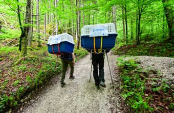 Aufstieg zur Bartgeiernische | © Hansruedi Weyrich