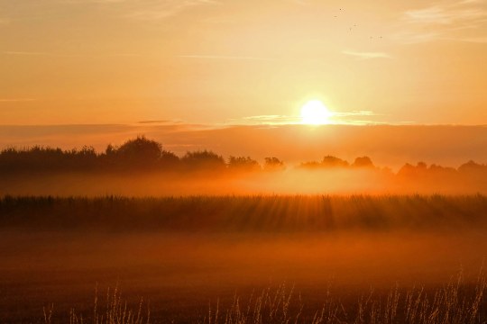 Sonnenaufgang | © Ingo Rittscher