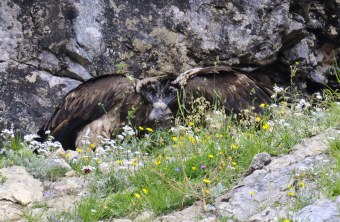 Dagmar und Recka Kopf an Kopf  | © Markus Leitner