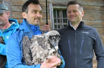 David Schuhwerk und Hans Pohlmann mit Bartgeier Dagmar | © Hansruedi Weyrich