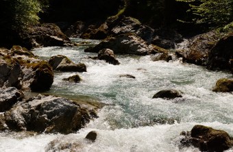 Wildfluss Eisenbreche | © Henning Werth