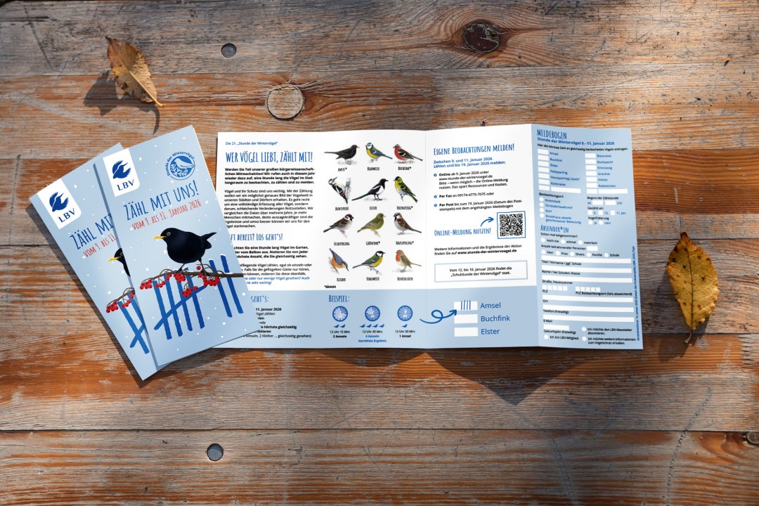 Meldebogen Stunde der Wintervögel