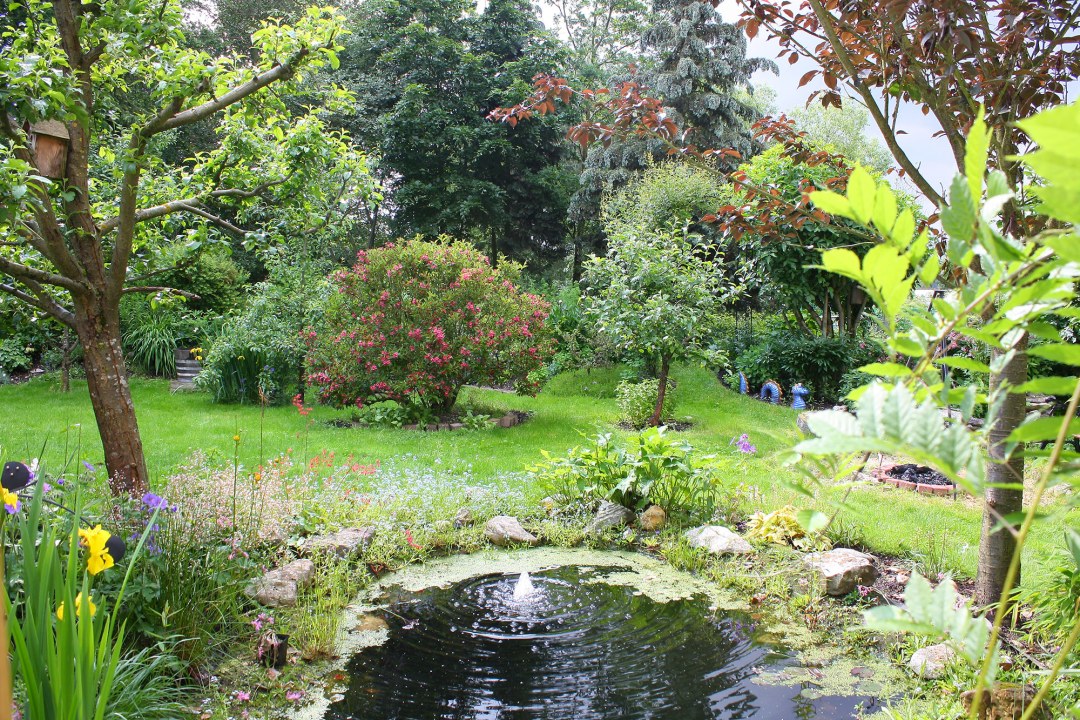 Garten mit einem Gartenteich und vielen anderen Strukturen | © Peter Bria
