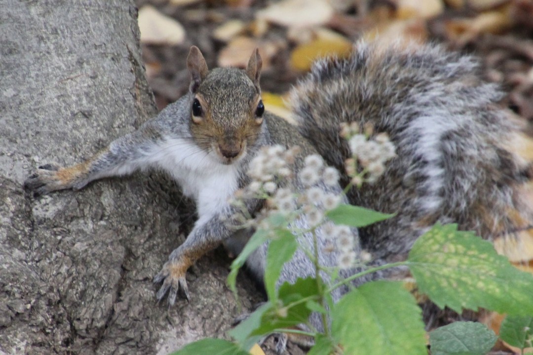 | © Lydia Geisenberger