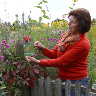 Eine ältere Frau in rotem Pullover bringt die Plakette Vogelfreundlicher Garten an ihrem Gartenzaun an | © Carola Bria