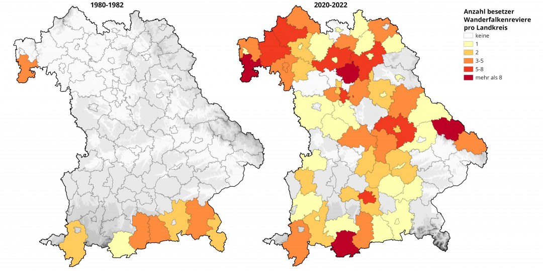 Verbreitung des Wanderfalken in Bayern beim Start des Artenhilfsprogramms 1982