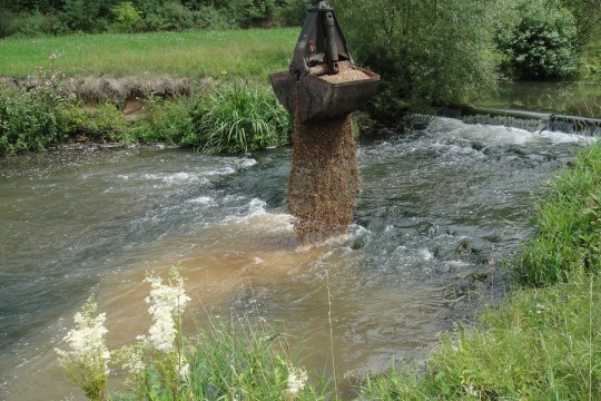 Kieseinbringung in die Schwäbisch Rezat | © LBV