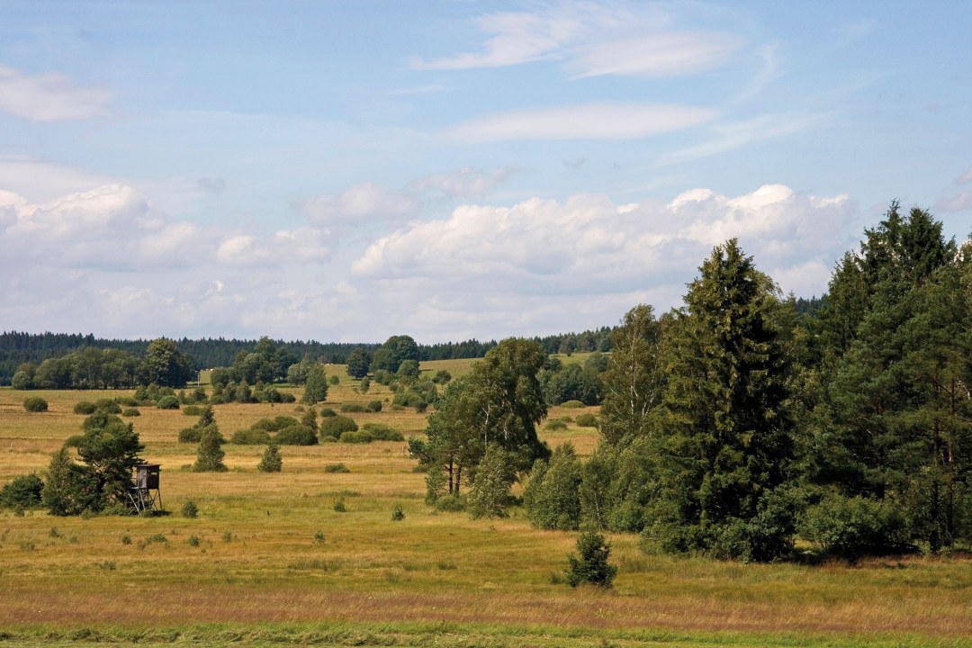 LBV-Schutzgebiet Georgenberg | © Julia Römheld