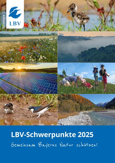 Cover LBV-Schwerpunkte Strategie 2025