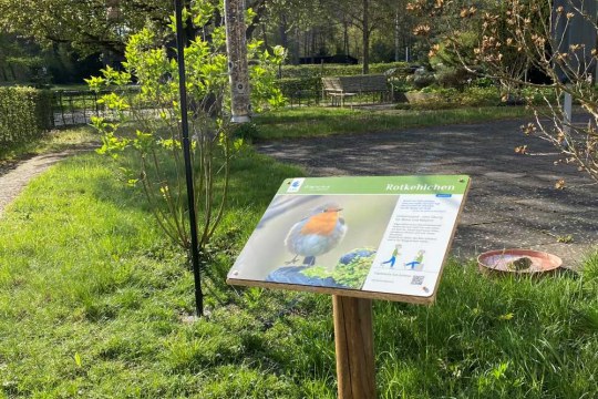 Luisenheim_Stationen-Pfad_Rotkehlchen | © Katharina Hubmann