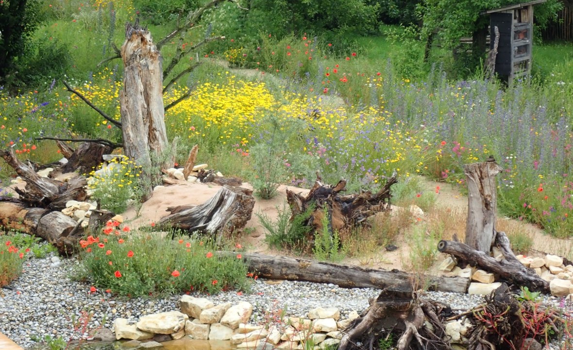 Naturnaher Garten | © Birgit Helbig