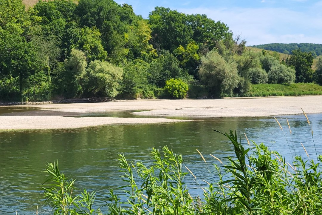 Flussmittige Kiesbank in Donau bei Staubing | © LBV