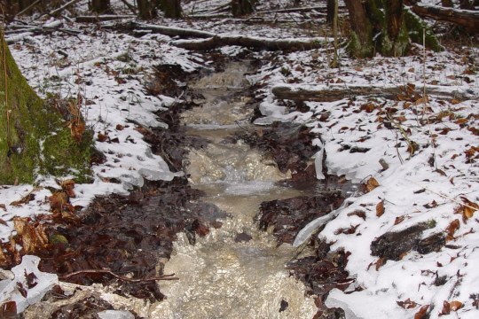 Quellkalkausfällung in einem Bach | © Eva Schubert
