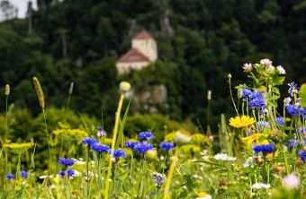 Passau | © Rico Niemann (Passau)