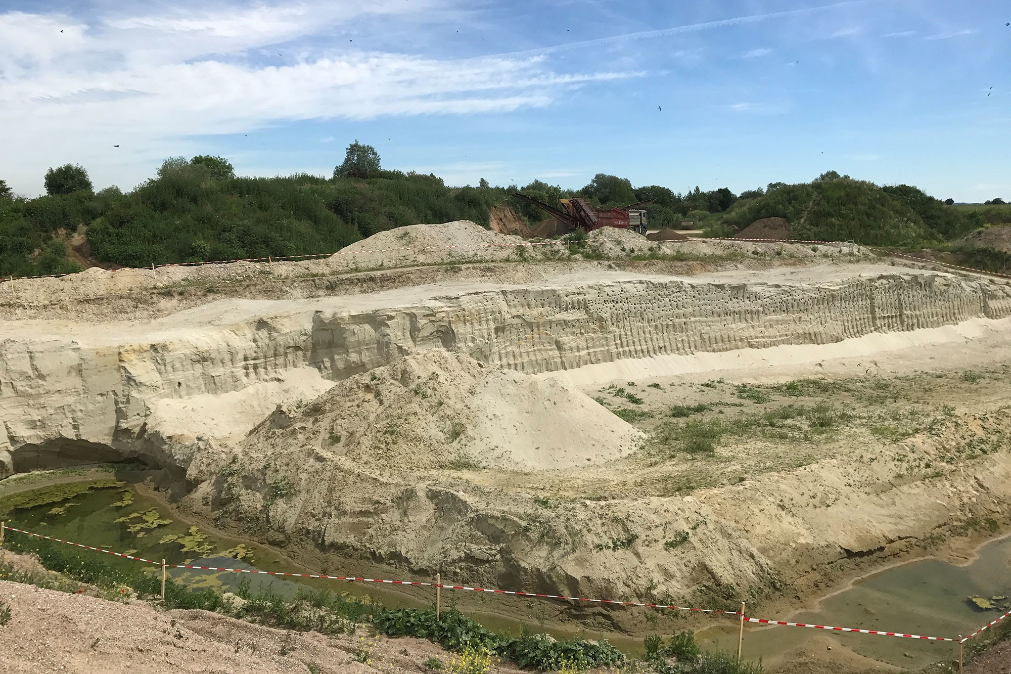 Schutzprojekte in Steinbrüchen und Sand und Kiesgruben LBV Gemeinsam Bayerns Natur schützen