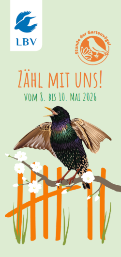 Faltblatt zur Stunde der Gartenvögel