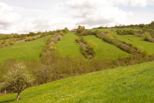 Strukturreiche Kulturlandschaft mit vielen Wiesen, Feldgehölzern und Bäumen | © Bernd Raab