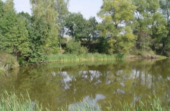 Teich | © Natascha Neuhaus