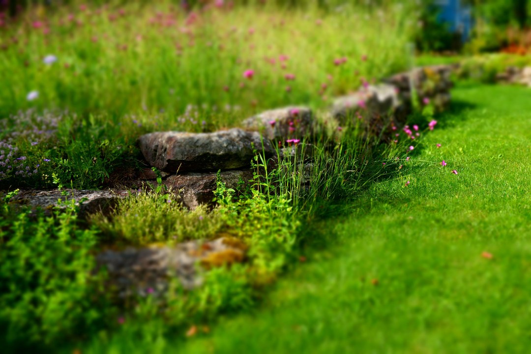 Steine im Garten, grün bewachsen | © Peter Bria