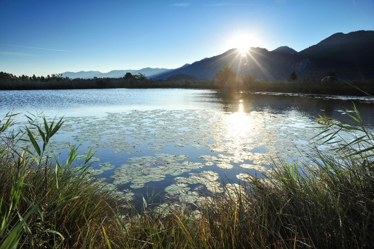 Sonnenaufgang am Kochelmoor | © Dr. Olaf Broders