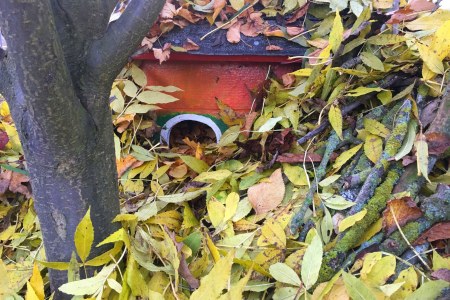 Igelhaus  | © Martina Gehret