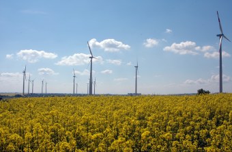 Windräder in Rapsfeldern | © Thomas Staab