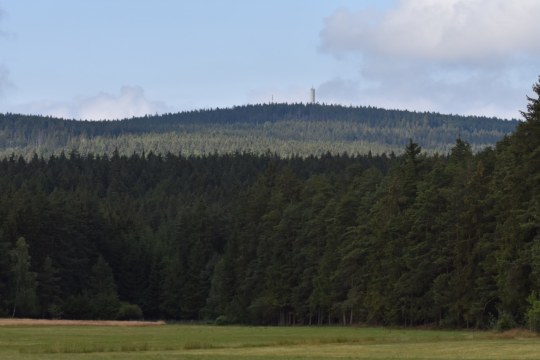 Kornberg vom Hirschloh | © Swanti Bräsecke-Bartsch
