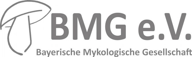 Das Logo der Bayerischen Mykologischen Gesellschaft zeigt stilisiert einen Pilz und den Schriftzug "BMG e.V." in Grau.