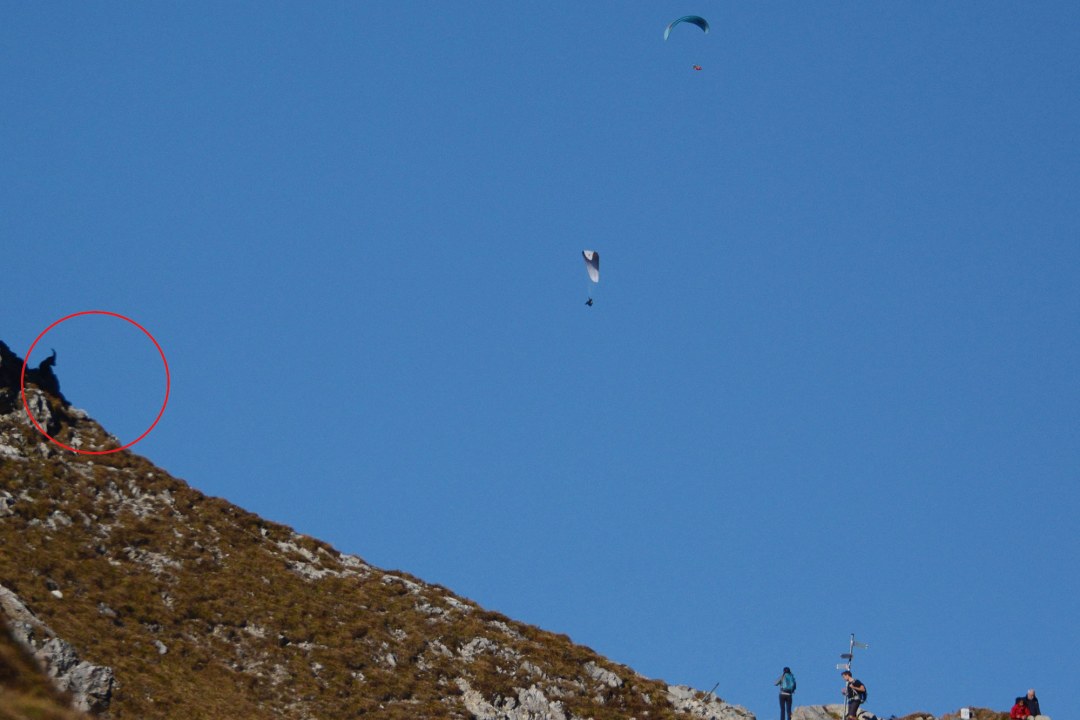 Berg mit einem Steinbock, einem Gleitschirmflieger und Wanderern | © Henning Werth