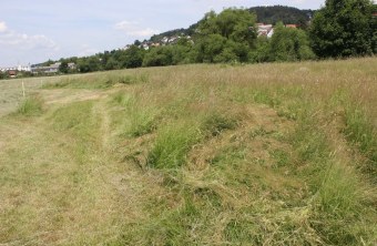 Cham | © Erika Babl (Cham)