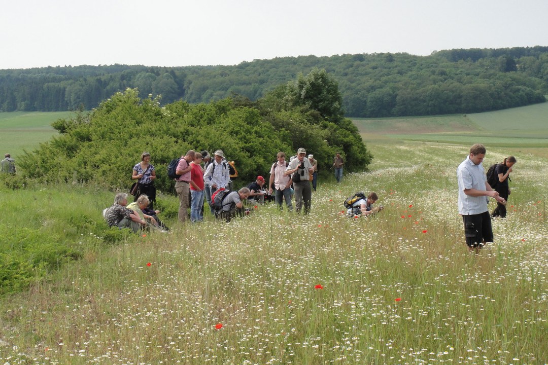 Exkursion | © Bernd Raab