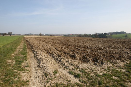 Guelle_auf_Acker | © Dieter Hopf