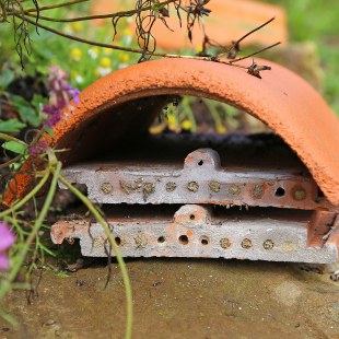 Zwei flache Dachziegel mit Löchern übereinandergelegt als Nistmöglichkeit für Wildbienen mit einem Dach aus einem gebogenen Ziegel | © Carola Bria