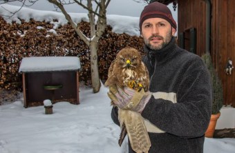 Bussard-Dame mit ihrem Retter | © Hans Riesenthal