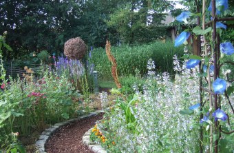 Naturnaher Garten mit vielen verschiedenen einheimischen Pflanzen. Ein schmaler Weg führt durch das Grün | © Birgit Helbig