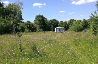 Naturfoto aus der Umweltstation in München | © LBV
