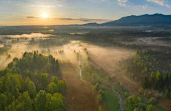 Oberbayerisches Moor | © Dr. Olaf Broders